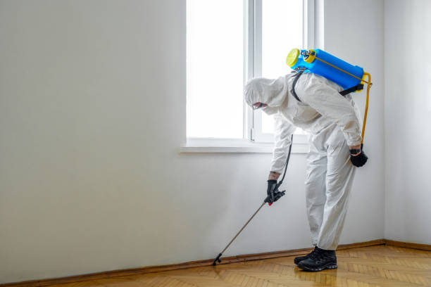 Best Pest Prevention Services  in Linwood, PA